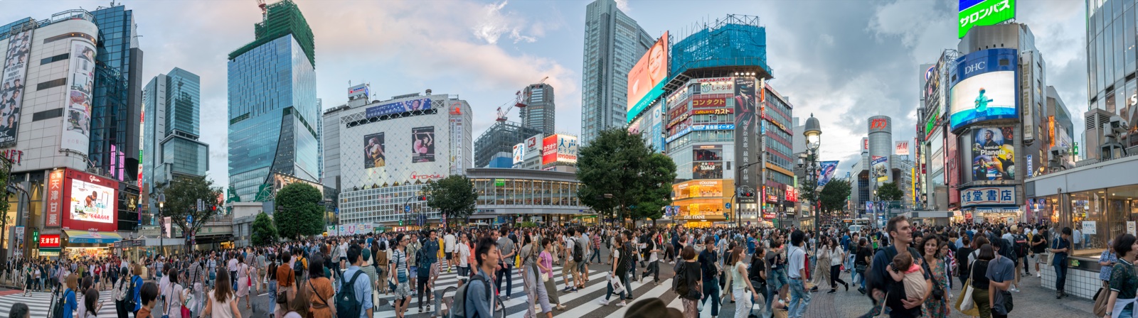 Shibuya is famous for its scramble crossing. It is located in front of the Shibuya Station Hachikō exit and stops vehicles in all directions to allow pedestrians to inundate the entire intersection. The statue of Hachikō, a dog, between the station and the intersection, is a common meeting place and almost always crowded.
Three large TV screens mounted on nearby buildings overlook the crossing, as well as many advertising signs. The Starbucks store overlooking the crossing is also one of the busiest in the world. Its heavy traffic and inundation of advertising have led to it being compared to the Times Square intersection in New York City and Dundas Square intersection in Toronto. Tokyo-based architecture professor Julian Worrall has said Shibuya Crossing is "a great example of what Tokyo does best when it's not trying."
Shibuya Crossing is often featured in movies and television shows which take place in Tokyo, such as Lost in Translation, The Fast and the Furious: Tokyo Drift, and Resident Evil: Afterlife and Retribution, as well as on domestic and international news broadcasts. The iconic video screen featured in the above movies, in particular Lost in Translation with its 'walking dinosaur' scene, was taken down for a period of time and replaced with static advertising, although it resumed operation in July 2013. Contemporary British painter Carl Randall (who spent 10 years living in Tokyo as an artist) depicted the area in his large artwork 'Shibuya', exhibited at the National Portrait Gallery in London 2013.
On the southwest side of Shibuya station, there is another popular meeting place with a statue called "Moyai". The statue resembles a Moai statue, and it was given to Shibuya by the people of Niijima Island in 1980.

The crossing was featured in the 2016 Summer Olympics closing ceremony to promote the 2020 Summer Olympics in Tokyo [Wikipedia.org]